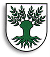 Schule Widen (Logo)